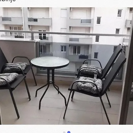 Mm Vera *